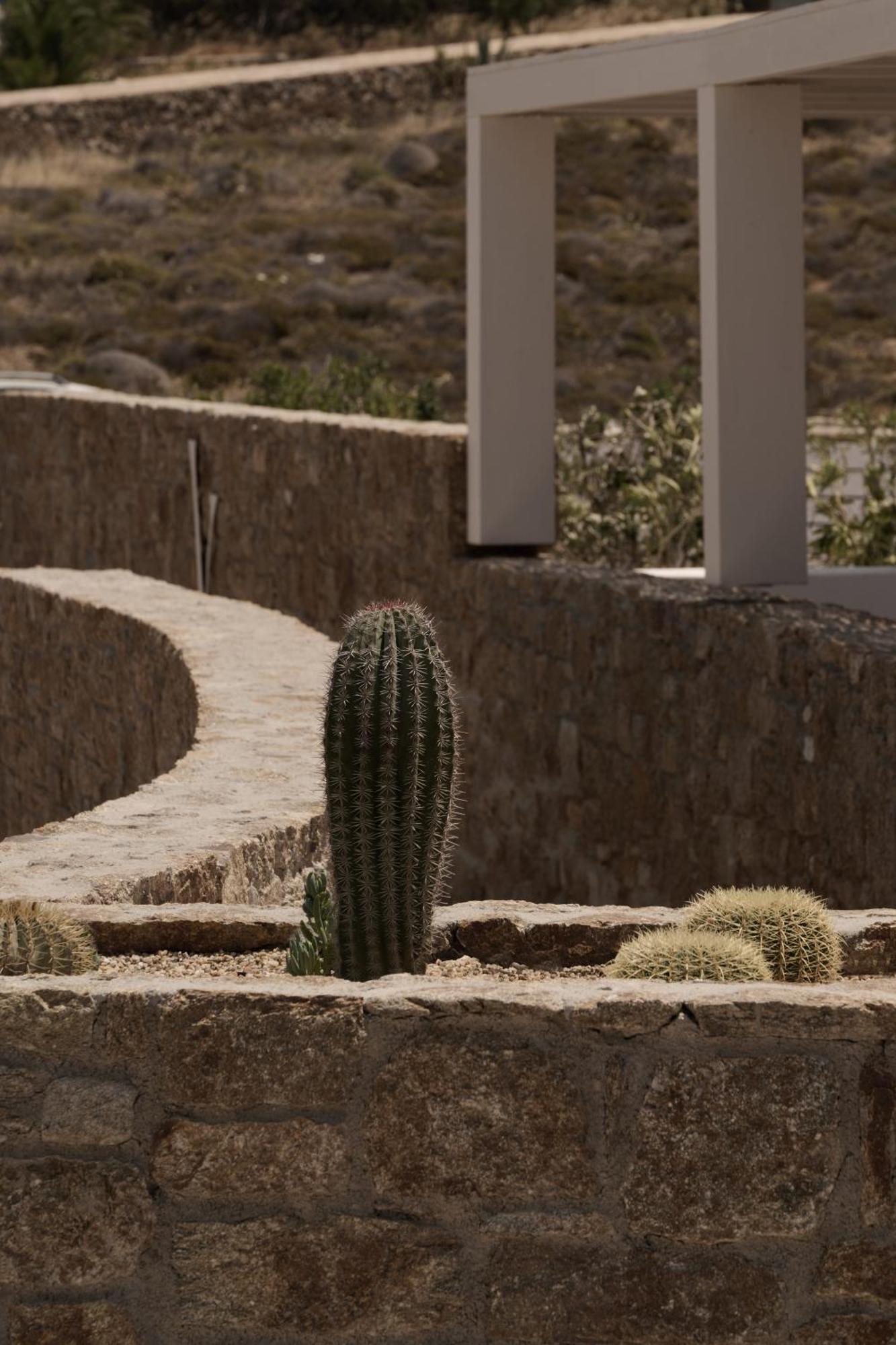 Yi Hotel Mykonos Elia  外观 照片